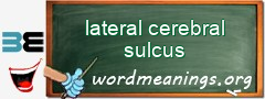 WordMeaning blackboard for lateral cerebral sulcus